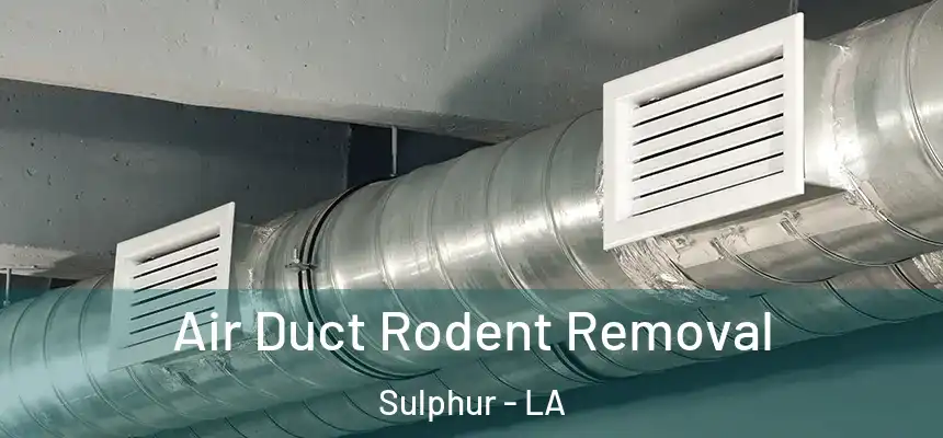  Air Duct Rodent Removal Sulphur - LA