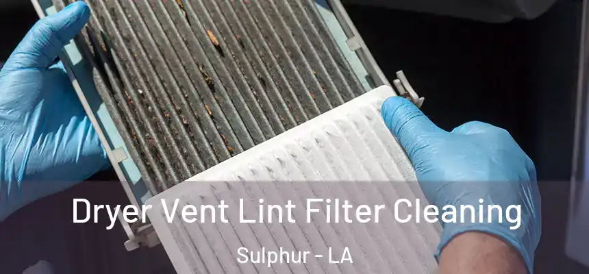  Dryer Vent Lint Filter Cleaning Sulphur - LA