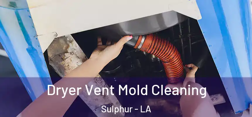  Dryer Vent Mold Cleaning Sulphur - LA