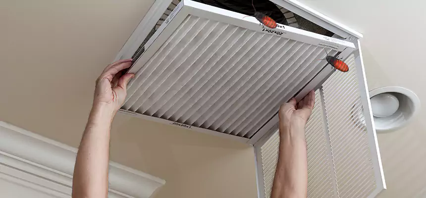 Our Insect Removal from Air Ducts Services in Sulphur, LA