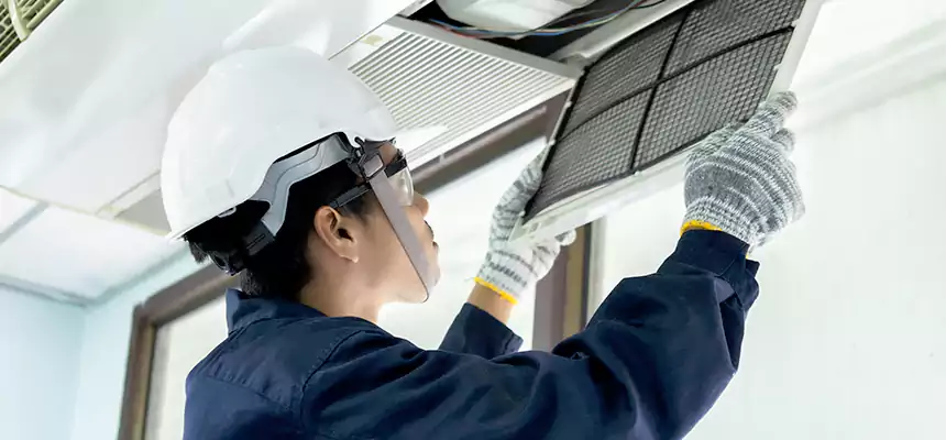 Our Mold & Mildew Removal from Air Ducts Services in Sulphur, LA