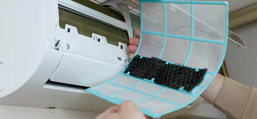 Gentle Ductwork Odor-Control Pet Dander Duct Cleaning in Sulphur, LA