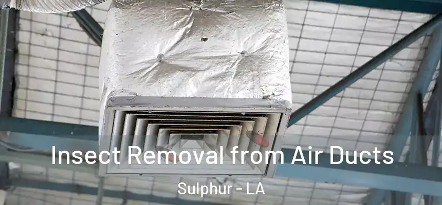 Insect Removal from Air Ducts Sulphur - LA