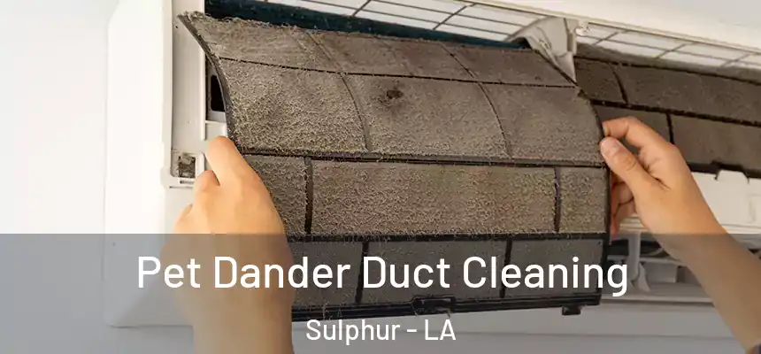  Pet Dander Duct Cleaning Sulphur - LA