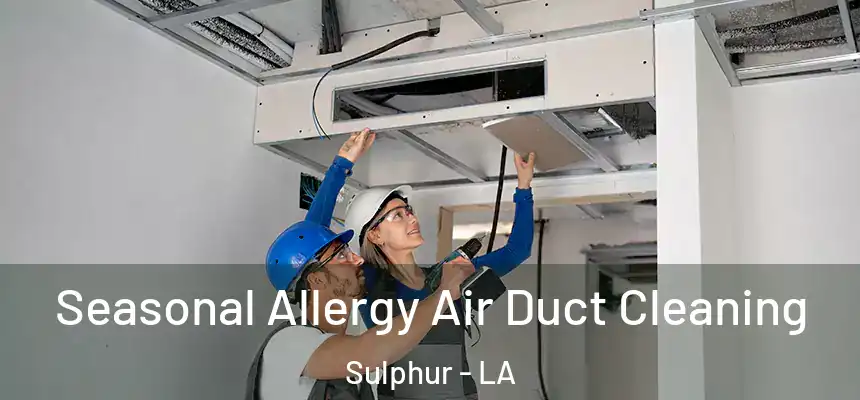  Seasonal Allergy Air Duct Cleaning Sulphur - LA