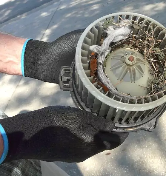 About Air Duct Mice Removal in Sulphur, LA