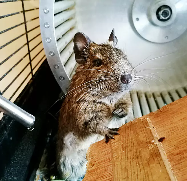 Why Homeowners & Businesses Trust Us Sulphur, LA